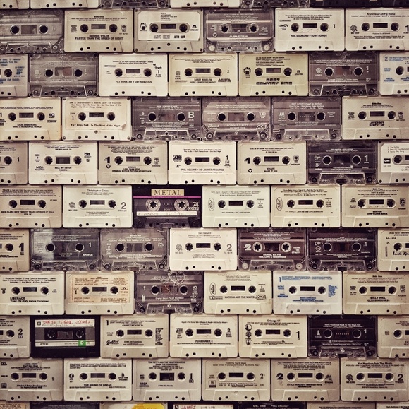 Meet your Posher, Holly - Picture 1 of 1